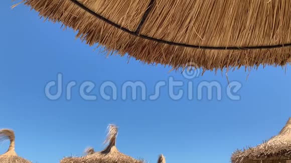 阳光明媚的海滩上的草伞视频的预览图