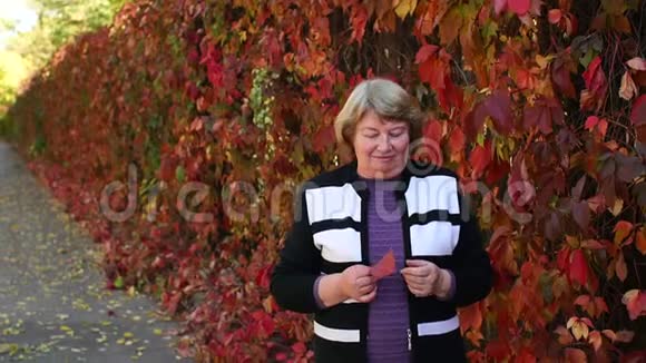 秋天公园里一位老妇人手里拿着红叶的肖像视频的预览图