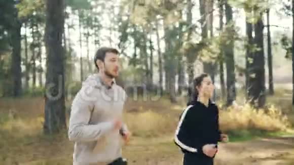 精力充沛的年轻人在公园里一起慢跑集中在阳光明媚的秋日练习积极主动视频的预览图