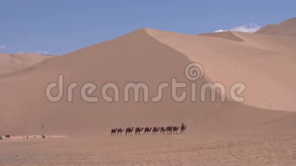 沙漠里的大篷车视频的预览图