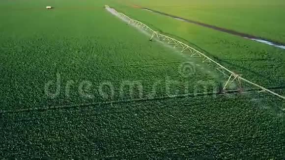 田间作物灌溉系统无人机的空中视频视频的预览图