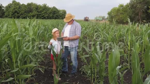 女孩和祖父在玉米地祖父农民正在教年轻一代使用平板电脑概念视频的预览图