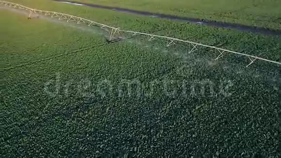 田间作物灌溉系统空中视频无人机视频的预览图