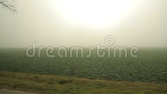 雾状的路边风景视频的预览图
