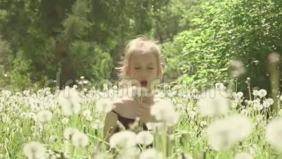 可爱的小女孩玩得很开心在公园里放松时看着蒲公英的种子视频的预览图