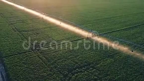 田间作物灌溉系统空中视频无人机视频的预览图