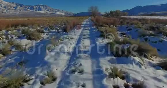 下雪的平原视频的预览图