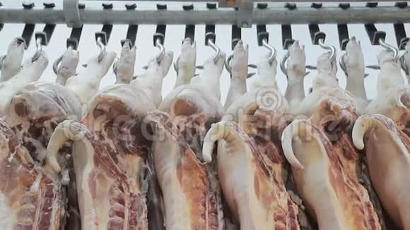 新鲜猪肉的果酱挂在冰箱的钩子上慢全景和镜头移动数量众多视频的预览图