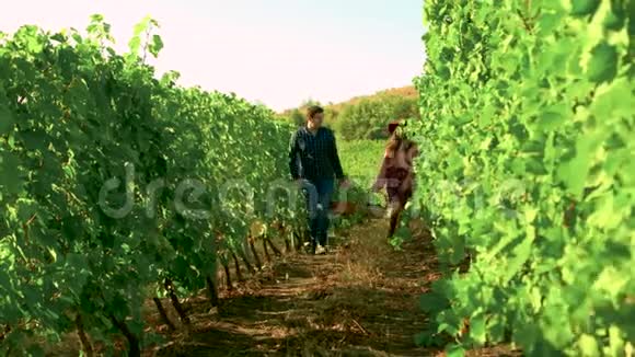 白人夫妇带着一篮子葡萄在葡萄园里散步视频的预览图