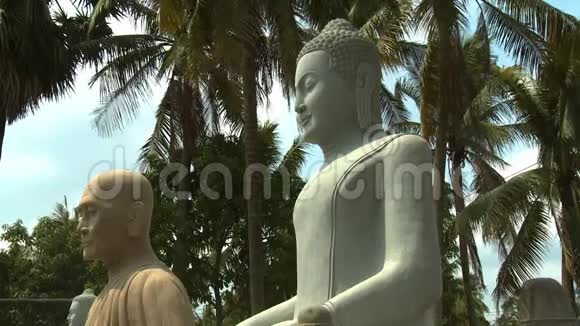 柬埔寨圣托克的几尊佛教石像视频的预览图