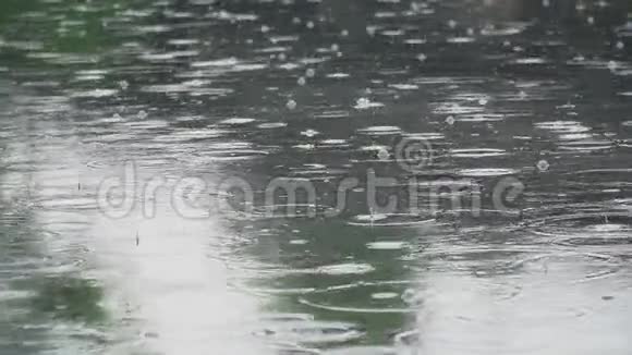 河上的降雨视频的预览图
