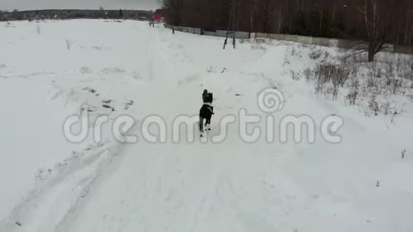 冬天的时候一个年轻的女人骑着马在雪地上背面视频的预览图