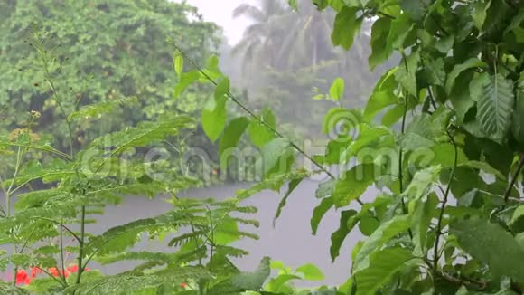 从绿色地带看到的河流上空的热带雨水视频的预览图