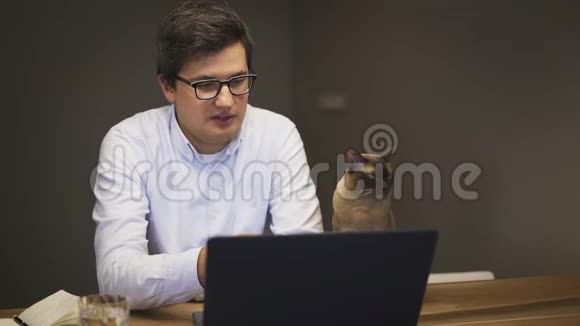 戴着蓝衬衫眼镜的男人坐在桌上拿着笔记本电脑和猫说话视频的预览图