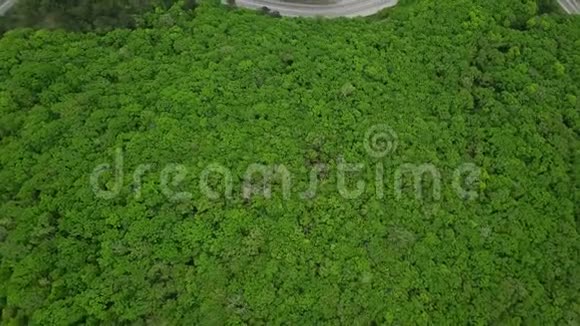 从上面可以看到空中景色山林中的道路是美丽的有许多具有复制空间的树视频的预览图