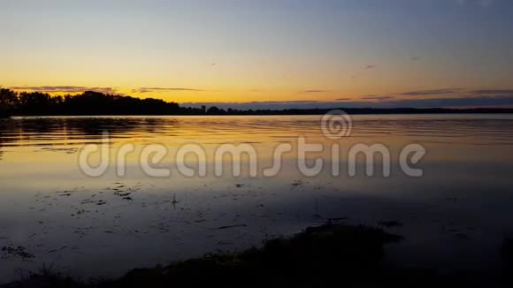 夏天鸟在天空中飞翔的平静湖泊的日出或日落景色宁静田园湖滨自然景观视频的预览图