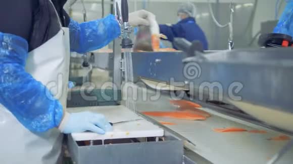 工厂的员工正从皮带上取出鲑鱼干并把它切下来视频的预览图