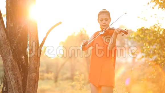 夕阳下的小提琴女人视频的预览图