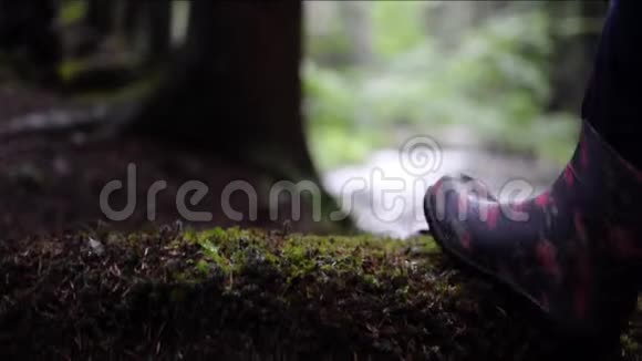 穿上徒步旅行的鞋子人类的双腿迈过森林里的原木视频的预览图