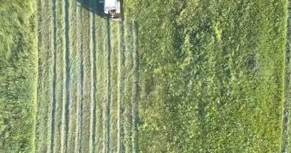 割草机用割草机在田里割草视频的预览图