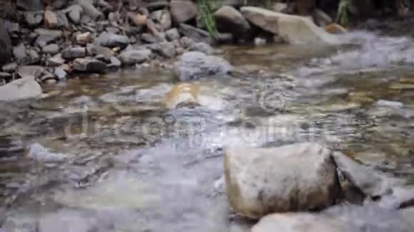 闭上山溪流雨后浅溪在森林里视频的预览图