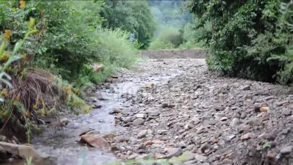 山溪流雨后浅溪在森林里带水的野生景观视频的预览图