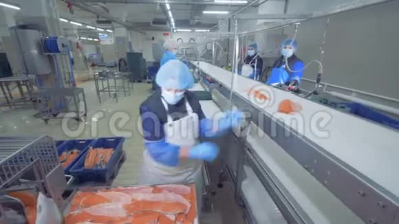 工厂员工正在把鳟鱼片放到运输工具上视频的预览图