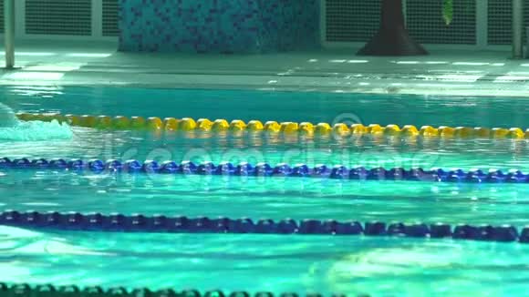 室内游泳池训练过程中蝶泳运动员动作慢全高清稳拍视频的预览图