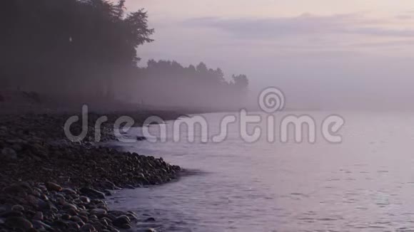 一个雾蒙蒙的夜晚海浪溅在鹅卵石海滩上远处的森林变黑了视频的预览图