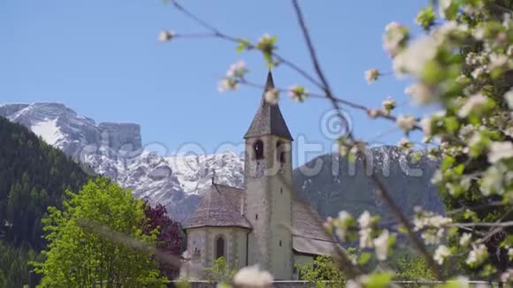 在教堂和群山中绽放视频的预览图