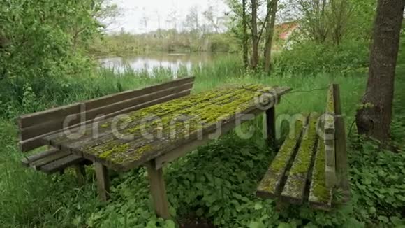 古老的木制野餐长凳和桌子上面覆盖着绿色的苔藓视频的预览图