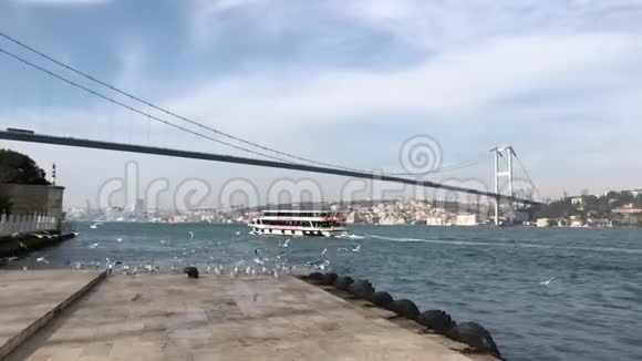 土耳其伊斯坦布尔博斯普鲁斯大桥附近的海上海鸥视频的预览图