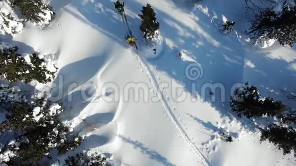 在常青树之间滑雪的冬季设备视频的预览图