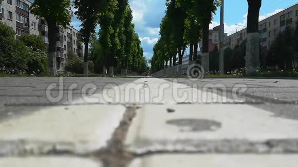树木小巷和道路标记的自行车道在夏季在城镇的人行道上在白天城市生活低角度视频的预览图