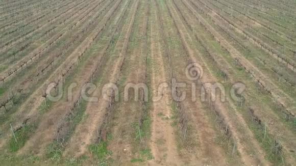 收割后的葡萄园褐色的晒干的土壤和干燥的葡萄园视频的预览图