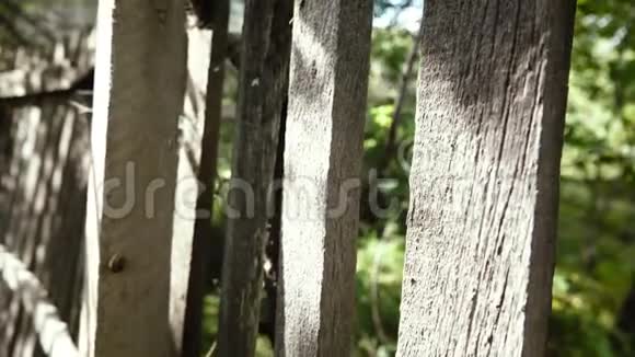 旧木栅栏背景性质视频的预览图