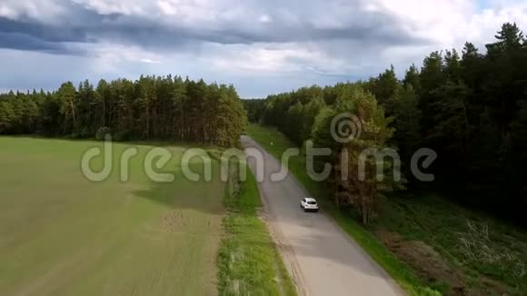 白色汽车在路标附近行驶巨大的绿色树木视频的预览图