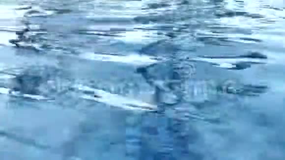 池中的水运动视频的预览图