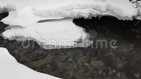 透明的清水流中的褐色小石头视频的预览图