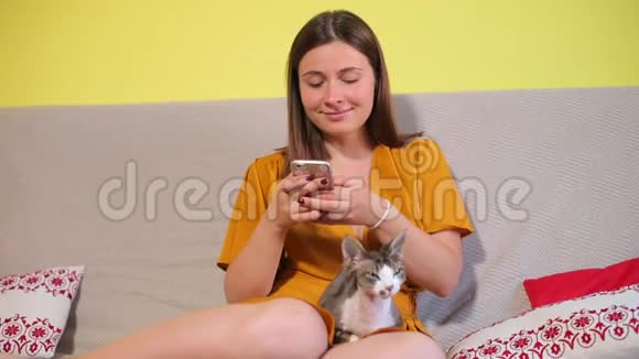 女孩坐在沙发上用智能手机视频的预览图