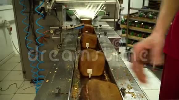 传送带上面包包装过程的工人视频的预览图