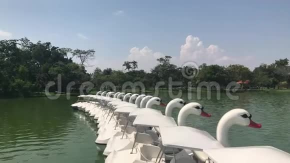 泰国曼谷SuanluangRama9公园的鸭艇踏板或划鹅艇景观湖和白色马鞍船视频的预览图