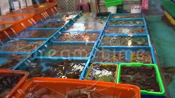 4K亚洲传统海鲜市场摊在富士鱼市场出售新鲜食品视频的预览图