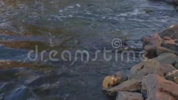 秋天到了树叶沿着河流漂浮湿漉漉的石头围绕着视频的预览图