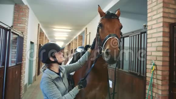女人在马厩里抚摸美丽的马视频的预览图
