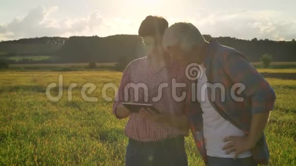年轻人向老农解释拿着石碑站在美丽的麦田里日落时快乐而快乐视频的预览图