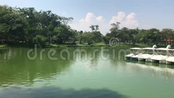 泰国曼谷SuanluangRama9公园的鸭艇踏板或划鹅艇景观湖和白色马鞍船视频的预览图