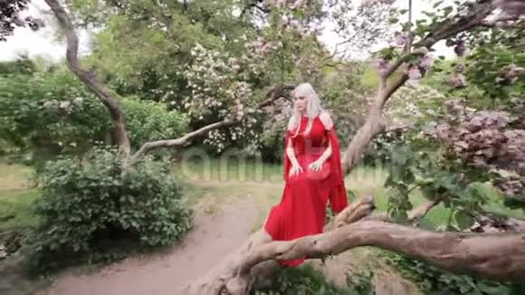 坐在魔法花园树上的美丽小精灵视频的预览图