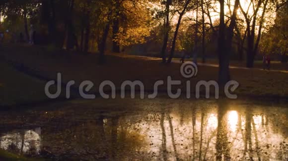 日落秋天公园里的湖视频的预览图