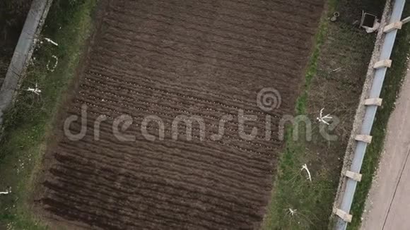 从无人驾驶马铃薯植物的土壤中拍摄视频的预览图